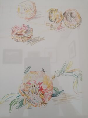 Oskar KOKOSCHKA, 1886 – 1980   “Nüsse u. Granatapfel” Lithografie, Edition Bucher 1972